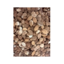 Acı Kayısı Çekirdeği 1 Kg Diğer