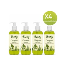 Biolly Botanica Evergreen Sıvı Sabun 500 Ml 12'li Paket