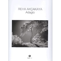 Adagio / Reha Akçakaya