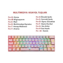 Blueforce Majesty 62 Tuşlu Rgb Mini Gaming Oyuncu Mekanik Klavye Red Switch Pembe