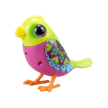 Digibirds Tekli Paket Seri 1 - Model 3
