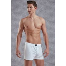 Erkek Boxer 1511 001