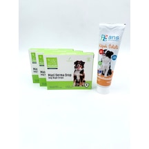 3 Kutu 11-20kg Köpekler İçin Damla + Ans Multivitamin