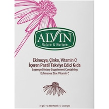 Alvin Pastil Ekinezya Çinko Vitamin C 12'li 31 G