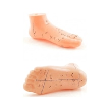 Ers Akupunktur Eğitim Ayak Maketi Anatomik Refleksoloji Nokta Gösterim Modeli Eğitim Maketi