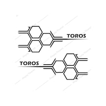 Toros Kapı Altı Sticker Renault Toros Sticker Renault Oto Sticker