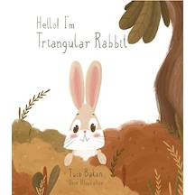 Hello I'M Triangular Rabbit