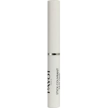 Payot Pate Stick Couvrant Pate Grise Kapatıcı 1.6 G
