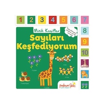 Minik Keşifler Sayıları Keşfediyorum - Kyut-874547