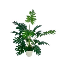 Yapay Ağaç Salon Bitkisi Syngonium 70 Cm 18 Yaprak Beyaz Saksıda