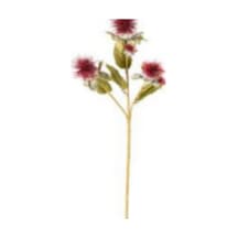 Yapay Bitki Dikenli Bordo 56 Cm. Çok Renkli