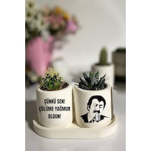 Tabaklı Müslüm Baba Baskılı Mini Saksı Seti Hediyelik Dekoratif