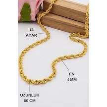 Sarı Altın