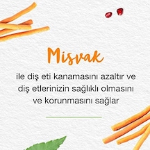 Himalaya Since 1930 Nane Ferahlığı Bitkisel Diş Macunu, Florürsüz, Parabensiz, Vejeteryan, Ferah Nefes, 75 Ml 3 Paketi