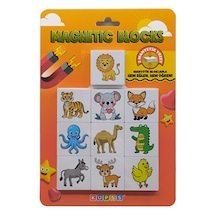 Efe'nin Hayvanat Bahçesi Seri-2 / Manyetik Eğitici Oyuncak