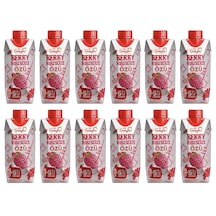 Meysu Berry Hıbıscus Özü 330 Ml X 12 Adet