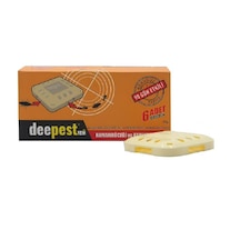 Deepest Hamam Böceği ve Karınca İstasyonu 6'lı