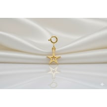 Ariş Yıldız Charm Altın Kolye Ucu N11.20495