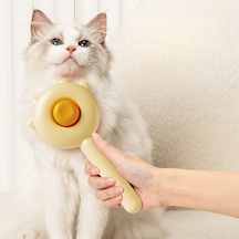 Raikou Kedi Fırçası Bej