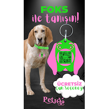Petjoo 29.Foks Pembe-Yeşil Qr'lı Köpek Künyesi