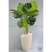 Yapay Monstera Ağacı Deve Tabani 190 Cm Krem Datça Saksıda