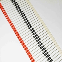 1n5360brl 25v 5w Zener Diyot 40 Adet