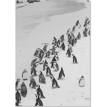 Cakasepetim Beyaz Kumların Üzerinde Penguenler Ahşap Mdf Tablo