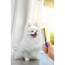 Kıtık Açıçı Kedi Köpek Tarağı Metal