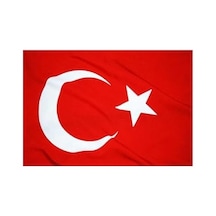 Lona Sanat Tekne Bayrağı 30 45 5'li 1000 x 1500 CM