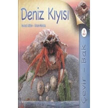 Çevir Bak Deniz Kıyısı - Yqbx-656606