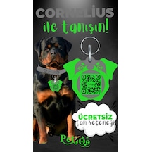 Petjoo 20.Cornelius Yeşil-Gri Qr'lı Köpek Künyesi