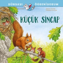 Küçük Sincap Dünyayı Öğreniyorum
