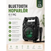 Yeni Nesil 6.5 İnç Bluetooth Hoparlör Mikrofonlu Taşınabilir Ses Sistemi