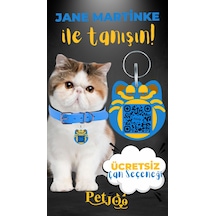 Petjoo 5.Jane Martinke Sarı-Mavi Qr'lı Kedi Künyesi