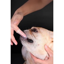 Evcil Hayvan Dil Diş Fırçası Pet Kedi Köpek Diş Fırçası