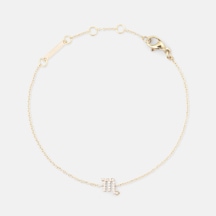 Daniel Wellington Dw00400914 Kadın Kolye Diğer