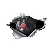 Siyah Pug Yırtık Araba Sticker Su Geçirmez Çıkartması