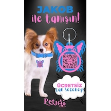 Petjoo 8.Jakob Pembe-Mavi Qr'lı Köpek Künyesi