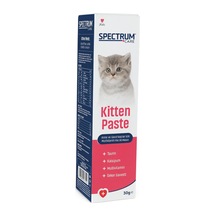 Kitten Paste Anne Ve Yavru Kedi Multivitamin Malt Macunu 100 Gr