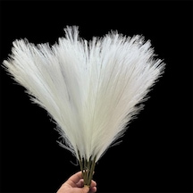 Konak Züccaciye Tek Dal Tüy Pampas Beyaz 70 Cm 7 Dallı