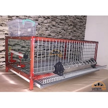 Bıldırcın Kafesi̇ Tek Katlı