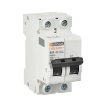 Valta Otomatik Sig. 2p 6ka B Tip 4a