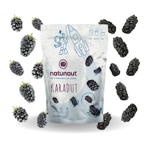 Natunaut Kuru Karadut Meyve Cipsi 20 G