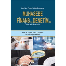 Muhasebe Finans ve Denetimde Güncel Konular - Engin Demirel - Ekin Basım Yayın