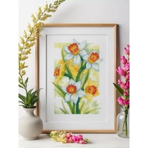 Rıolıs Bahar Işıltısı Nakış Seti. Nergisler 21x30cm 2189 231045441