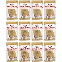 Royal Canin Poodle Caniche Tüy i Yetişkin Köpek Maması 12 x 85 G