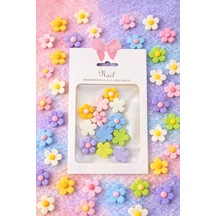 Pastel Daisy Flower 3d Nail Charm Set Color Mix