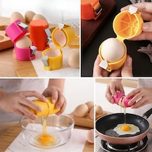 Renkli