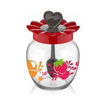 Frutta Kaşıklı Kavanoz 370 Cc Royaleks-c-00181 Çok Renkli