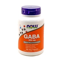 Now Foods B-6 Vitaminli Gaba 500 Mg 100 Bitkisel Kapsül